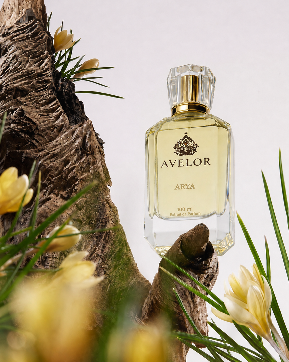 Avelor Arya